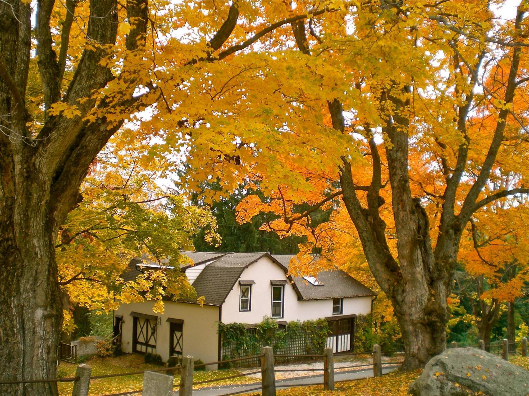 Whistler'S Inn Ленъкс Екстериор снимка